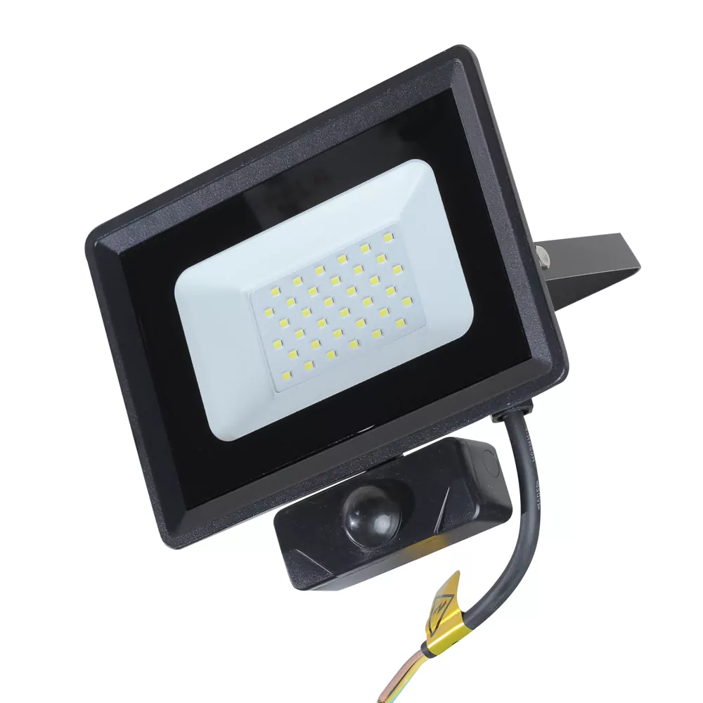 Прожектор з датчиком руху GORTEEN LED FL 010 SMD 30W IP65 LED CONCEPT 