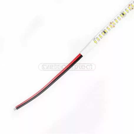 Лента диодная 3014 240LED 24V 3000K (цвет теплый)