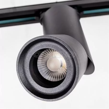 Світильник LED стельовий СВЕТКОМПЛЕК DLP 12T 12W 4000K BK Чорний